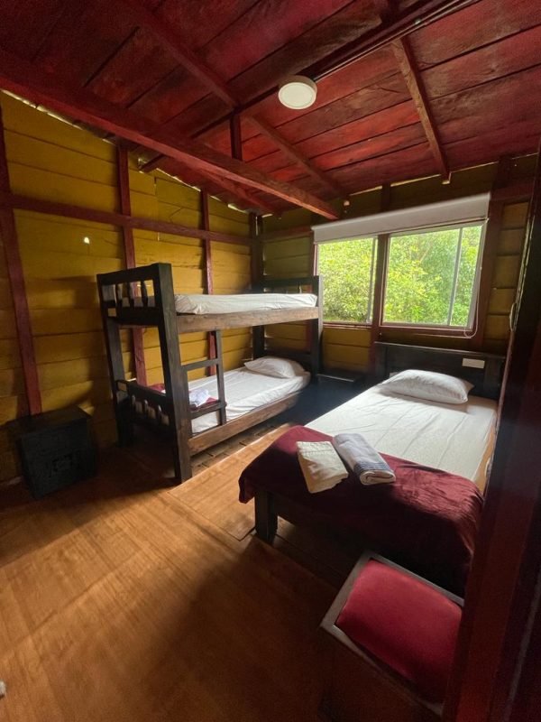 9399dcc5-a4f5-4e41-8195-ff3c39fd5ff3