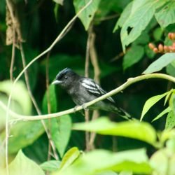 a1a04db3-120a-4684-9b2d-64bf634a097c